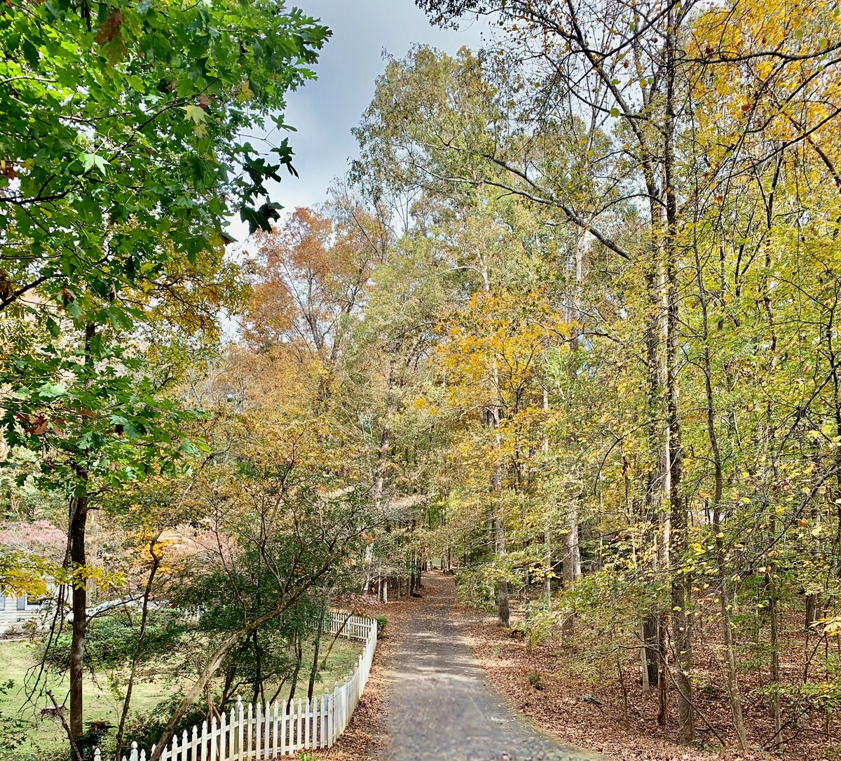 Wooded path near the whole-home retreat